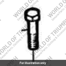 Bolt (T3200070)