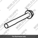 Bolt, RHHF, M6 x 50, Encaps (T3200123)