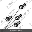 Bolt, RHHF, M6 x 30 (T3200147)