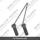 Bolt, TX, Lghtd, M8 x 25, Slv (T3200881)