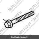 Bolt, HHF, M8 x 55, Slv (T3200887)