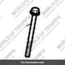 Bolt, RHHF, M6x60, 10.9 (T3201038)