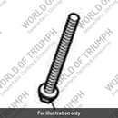 Bolt, RHHF, M6 x 60, Raw, Enc (T3201055)