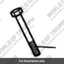 Bolt, M10 x 70 (T3202092)