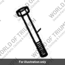 Bolt, M10x120, Slv (T3202093)