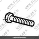 Bolt, HHF, M8 x 95, Slv (T3202327)
