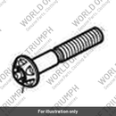 Bolt, TX, M10 x 60 (T3202697)