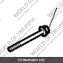 Bolt, RHHF, Domed, M6 x 30 (T3203030)