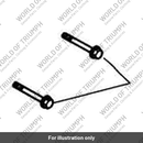 Bolt, Domed, S/S, M6 x 50 (T3203050)