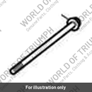 Bolt, RHHF, M6 x 147, S/S (T3204087)