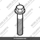 Bolt, HHF, Lghtd, M6 x 30, Slv (T3205070)