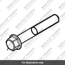Bolt, HHF, Lghtd, M6 x 40, Slv (T3205072)