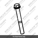 Bolt, HHF, Lghtd, M6 x 1.0 x 50, Slv (T3205073)