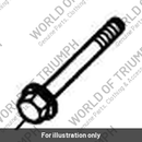 Bolt, HHF, Lghtd, M6 x 105, Slv (T3205079)