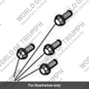 Bolt, HHF, Lghtd, M6 x 28, Enc (T3205081)