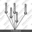 Bolt, HHF, Lghtd, M6 x 50, Enc (T3205091)