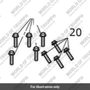 Bolt, HHF, Lghtd, M6 x 20, Enc (T3205094)