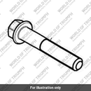 Bolt, RHHF, Lghtd, M6 x 30, Black (T3205102)
