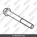 Bolt, HHF, Lghtd, M6 x 1 x 50, Blk (T3205104)