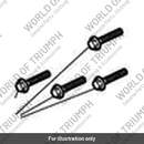 Bolt, RHHF, M6 x 32, Blk, Enc (T3205132)
