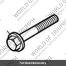 Bolt, HHF, M10 x 55, Slv (T3205755)