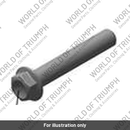 Bolt, HHF, Lghtd, M10 x 60, Slv (T3205760)