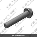 Bolt, HHF, Lghtd, M10 x 55, Slv (T3205766)