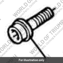 Bolt, HHF, Lghtd, M10 x 35, Slv (T3205796)