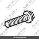 Bolt, HHF, Lghtd, M10 x 45, Slv (T3205825)