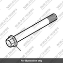 Bolt, HHF, M10 x 90, Slv (T3205854)