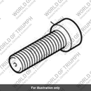 Bolt, Radial Feed, M12 x 32 (T3207777)