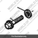 Bolt (T3210026)