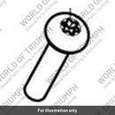 Screw, Pan/Hd, Tx, M6 x 27, Enc (T3300069)
