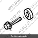 Bolt (T3330134)