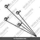 Bolt, RHHF, M5 x 12, Encaps (T3330178)