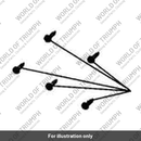 Screw, Pozi, S/Tap, 1.6 x 19 (T3330195)
