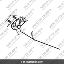 Bolt, Hex HD Flgd, M6 x 12 (T3330216)