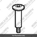 Bolt, Shld, M6 x 49, Slv (T3330239)