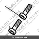 Bolt, C/Hd, Tx, M4 x 12, Slv, Enc (T3330245)
