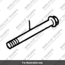 Screw, Torx (T3330261)