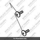 Screw, But/Hd, M6 x 20, Slv (T3330312)
