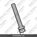 Bolt, Shear, M6 x 1.0 x 40, Enc (T3330317)