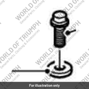 Bolt, Shear, M6 x 22, Enc (T3330327)