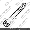 Bolt, Cap HD, M10 x 100, Slv (T3330336)