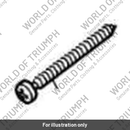 Screw (T3330440)