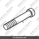 Screw,torx (T3330455)
