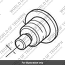 Bolt, Shouldered, M10, 1.25, SS (T3330594)