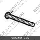 Screw, H/HD, M8 x 75, Slv (T3330644)