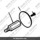 Screw, Pan/Hd, Tx, M5 x 20, Slv (T3330648)