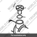 Bleed Screw, M6 x 16 (T3330677)